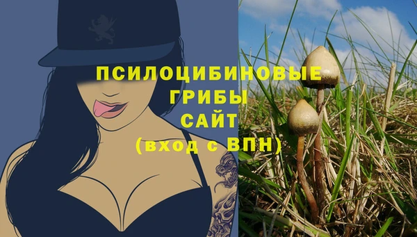 тгк Алексин