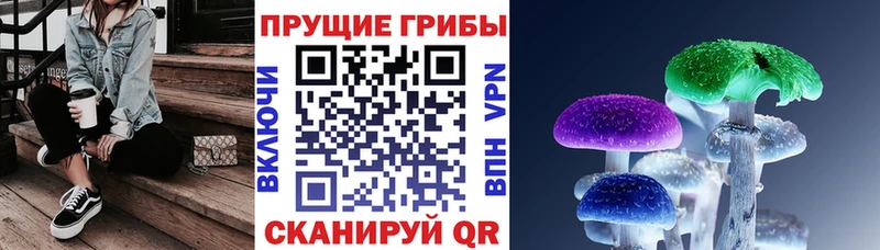 наркошоп Когалым Галлюциногенные грибы Magic Shrooms